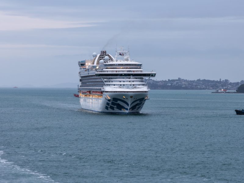 More cruise ships expected in NZ thanks to new hull cleaning service