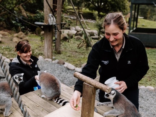 Hamilton Zoo holding first holiday programme
