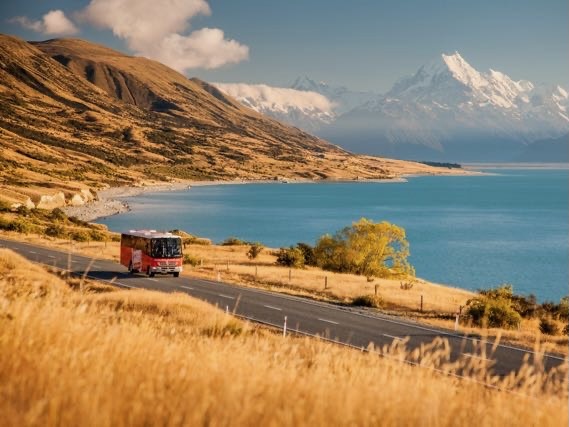 Stray eyes 20% increase in summer business after slimming down