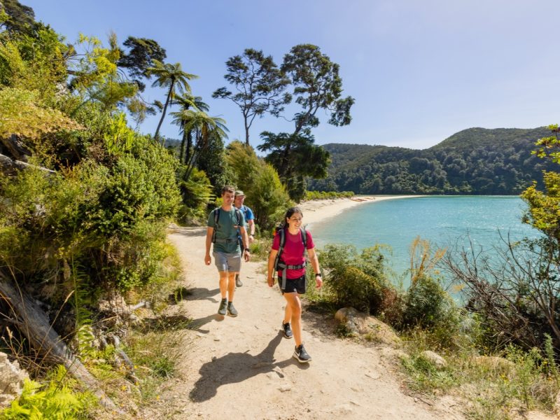 On the Job: Next-gen Wilson steps up, new OTT sales lead, hires at NZICC, JetPark… and more!