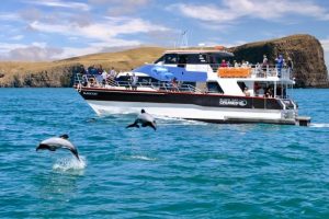 “Vote of confidence in Canterbury tourism” – Black Cat completes Encounter Kaikoura acquisition