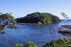 Election 2026: Nats pledge Waiheke marine reserve, Goat Island expansion