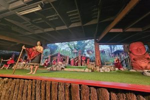 Faulty lamp suspected cause of fire that destroys Mitai Maori Village performance area – CEO