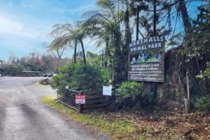 Wildlife park with 280 animals for sale