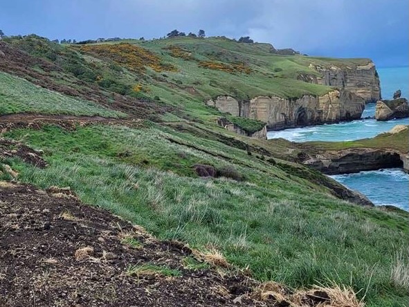 Popular coastal walk reopens