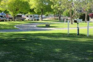 HPNZ donates to Nelson Tasman relief fund 