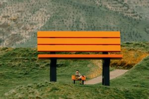 Morgan’s sculpture park to add more ‘bandwidth’ to Wellington tourism