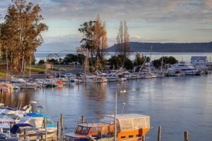 DGLT sees greater segmentation over summer as domestic stays soft, international takes off