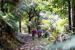 Private White Star multi-day trail launches in Coromandel