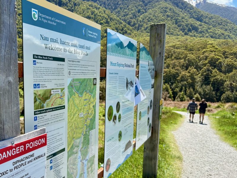 DOC shifts from recovery to managing pressure as visitor numbers grow