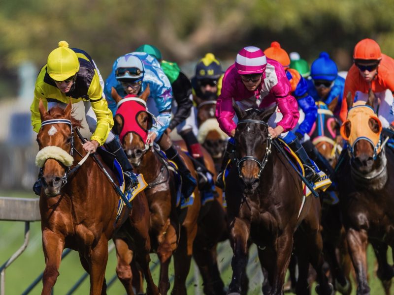 New $77m racecourse for Hawke’s Bay