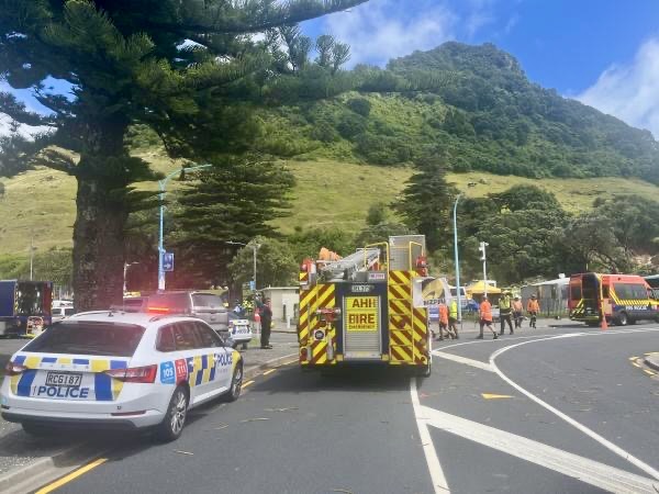 Govt releases terms of reference for fatal Mauao landslide inquiry