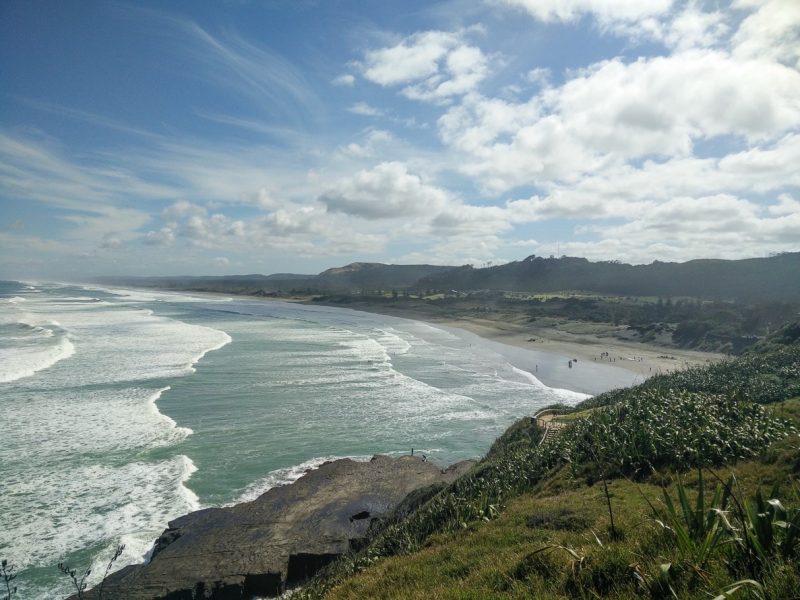 Skydive operator pleads guilty over fatal jump