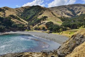 …as DOC reopens north Coromandel campsites