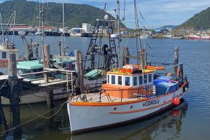 Govt invests $5m in West Coast ports