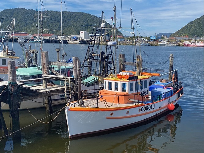 Govt invests $5m in West Coast ports