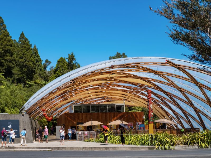 Discover Waitomo, KiwiEx tourism division generates best return for THL…