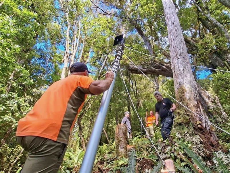 DOC deploying AI traps on Heaphy Track in first for conservation estate