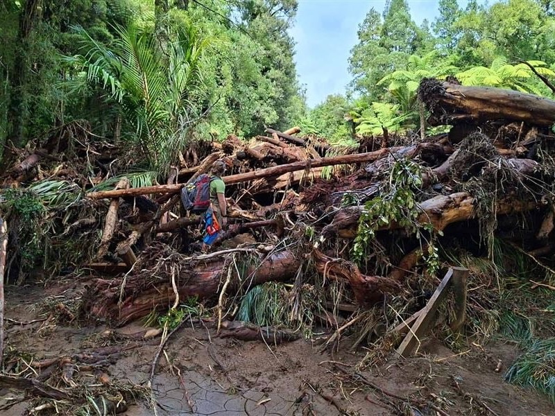 …as summer demand holds up across DOC’s visitor network despite storm damage