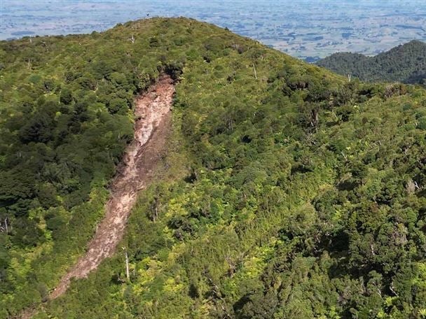 Pirongia track reopens, safety warnings remain