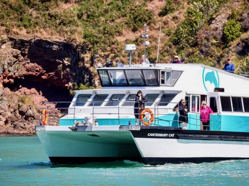 Black Cat Group taps F&B boss to be CEO