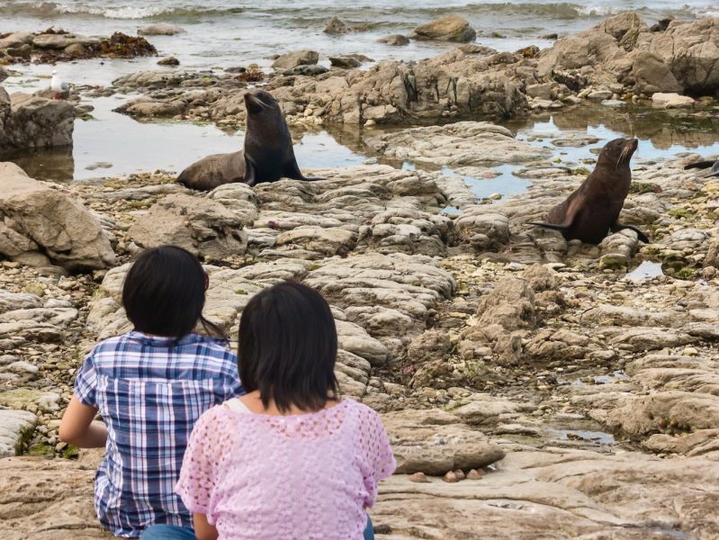 Lisa Li: China market beats summer expectations, but momentum under threat