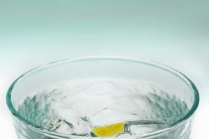Wellington Gin Trail launches