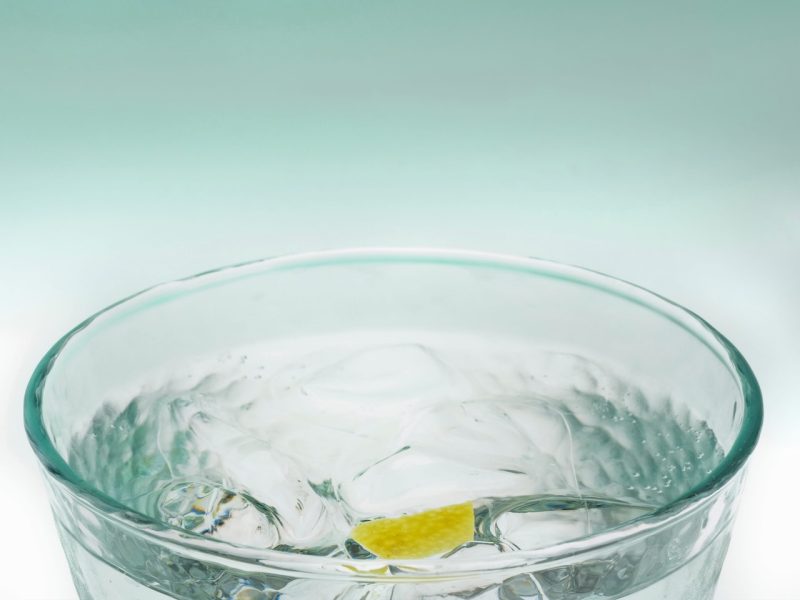 Wellington Gin Trail launches