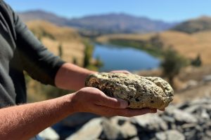 Hot pools development unearths NZ’s largest gold nugget, worth over $1m