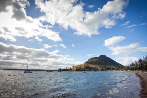 Tauranga council delays review of fatal landslide