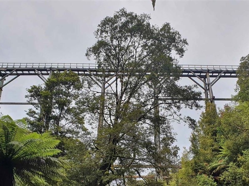 Historic viaducts stay closed, Hump Ridge Track open