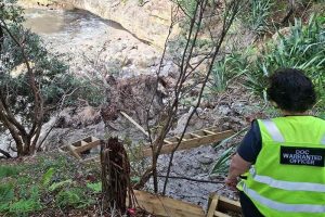 DOC moots removing damaged tracks to prioritise Cathedral Cove