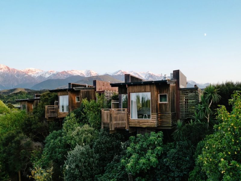 Hapuku Lodge + Tree Houses closes for revamp