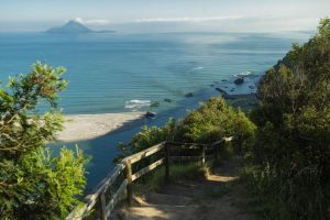 Whakatāne tenders for restoration of key visitor, heritage asset