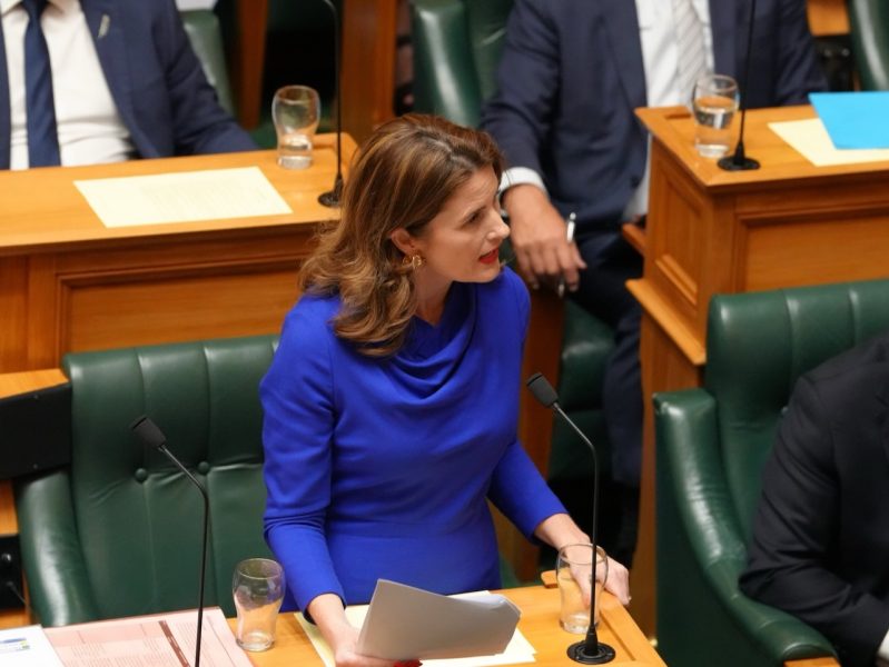Budget 2026: Tourism and hospitality’s wish list for Nicola Willis