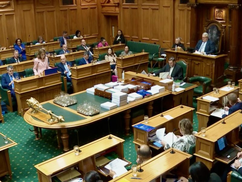 Budget 2026: TNZ budget cut, more money for tourism infrastructure