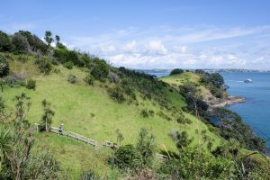 Waiheke Island operators partner in regenerative tourism push