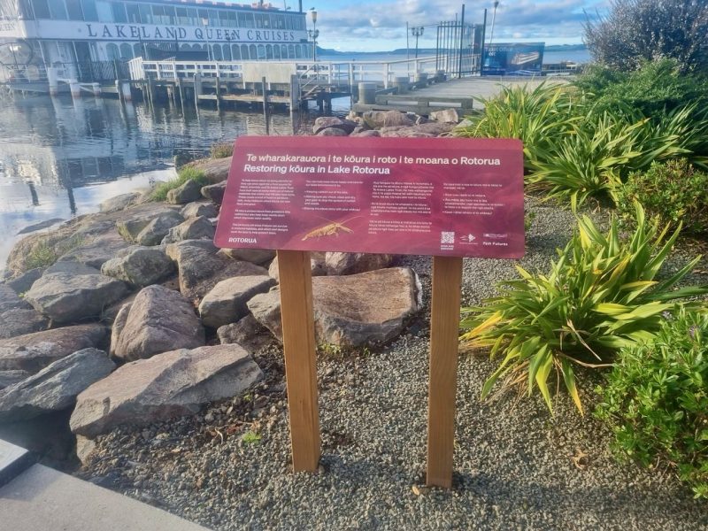 New lakefront displays showcase crayfish conservation