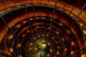 Waitomo hapū moves to secure control of iconic glowworm experience, seeks 60-year concession