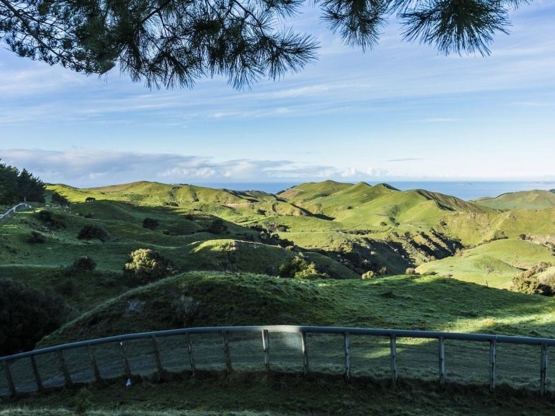 Perspectives: NZ tourism is striving to be greener – what does that mean for businesses?