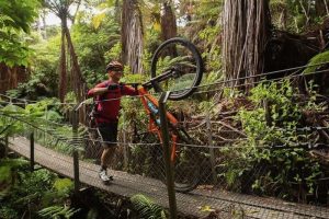 Bridges, trail upgrades for Mountains to Sea Great Ride