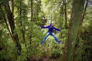 Rotorua Canopy Tours owner planning Queenstown experience
