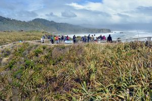 TECNZ backs conservation reforms, warns against more visitor charges