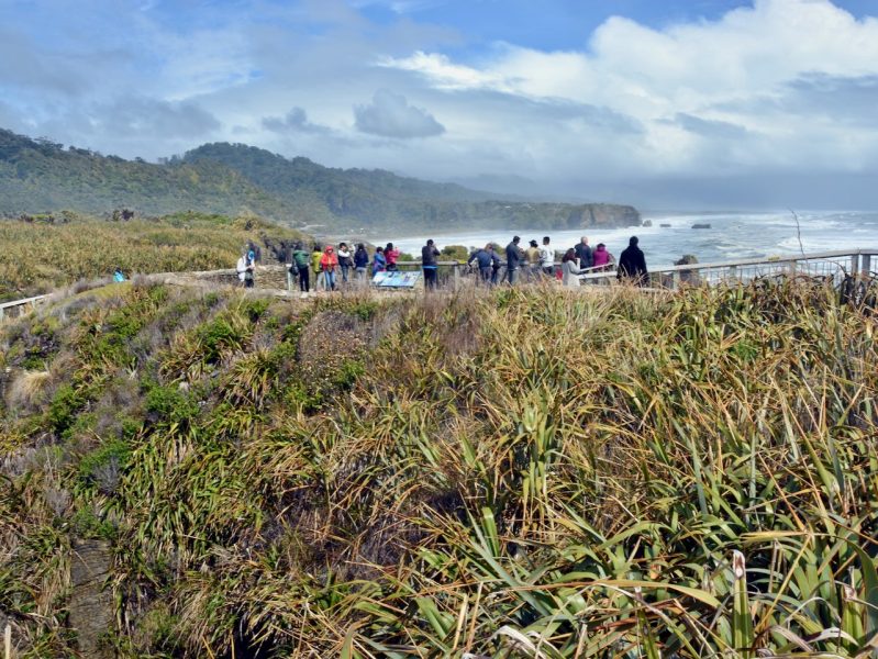 TECNZ backs conservation reforms, warns against more visitor charges