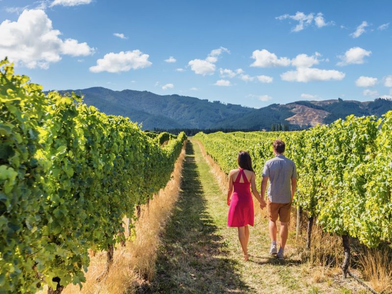 On the Job: NZ Winegrowers’ new CEO, leadership changes, hotel departures, adventure promotion… and more!