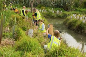 Tourism operators back nature investment platform