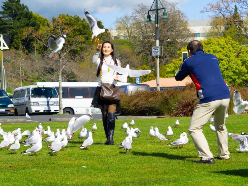 Tourism helping offset domestic weakness – Westpac