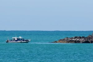Wildlife cruise operator applies for second vessel