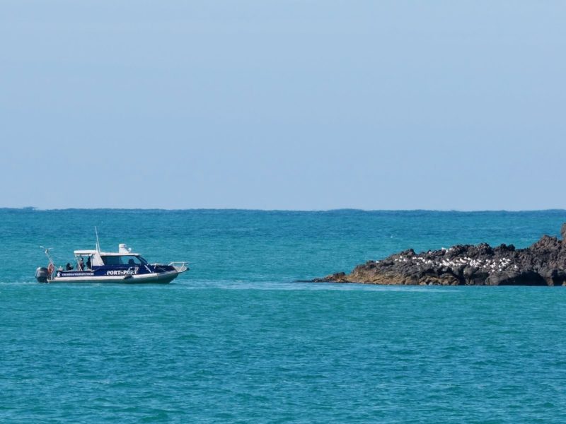 Wildlife cruise operator applies for second vessel