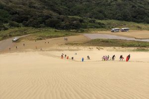 Operator penalised $400k over tourist’s death goes into liquidation
